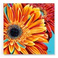 thumbnail image 1 of Epic Art 'Color Bursts II' by Carolee Vitaletti, Acrylic Glass Wall Art, 24"x24", 1 of 5