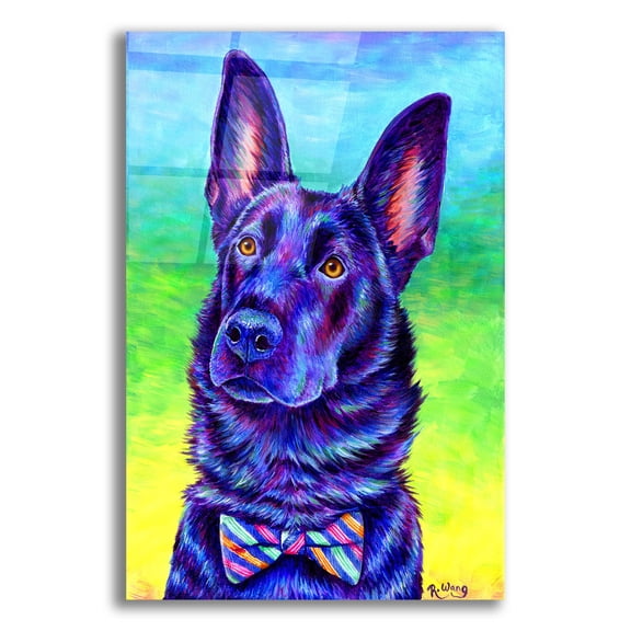Epic Art 'Colorful Black German Shepherd' by Rebecca Wang Art, Acrylic Glass Wall Art, 16"x24"