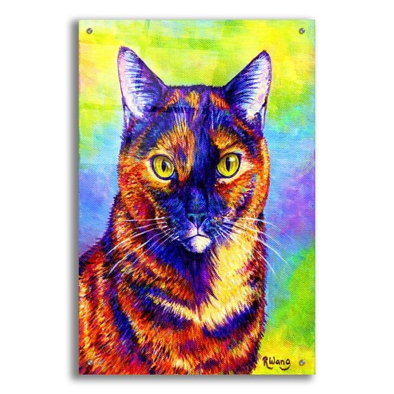 Epic Art 'Colorful Tortoiseshell Cat' by Rebecca Wang Art, Acrylic Glass Wall Art, 24"x36"