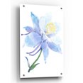 thumbnail image 1 of Epic Art 'Columbine Bloom I' by Tim O'Toole, Acrylic Glass Wall Art, 24"x36", 1 of 3