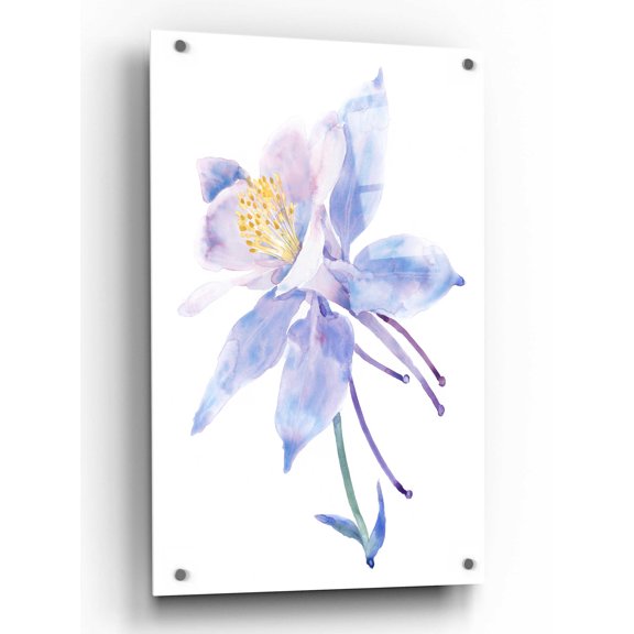 Epic Art 'Columbine Bloom II' by Tim O'Toole, Acrylic Glass Wall Art, 24"x36"