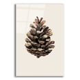 thumbnail image 1 of Epic Art 'Cone' by Incado, Acrylic Glass Wall Art, 12"x16", 1 of 8