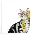thumbnail image 1 of Epic Art 'Cool Cat III' by Grace Popp, Acrylic Glass Wall Art, 12"x12", 1 of 8