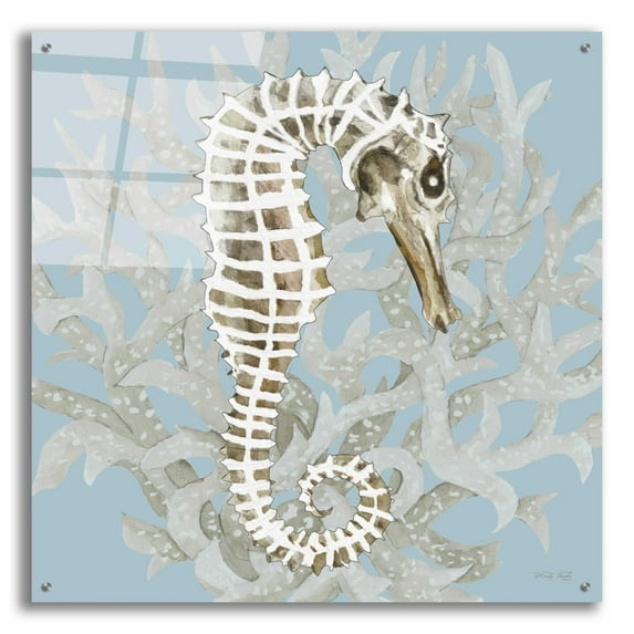 Epic Art 'Coral Seahorse I' by Cindy Jacobs, Acrylic Glass Wall Art, 36"x36"