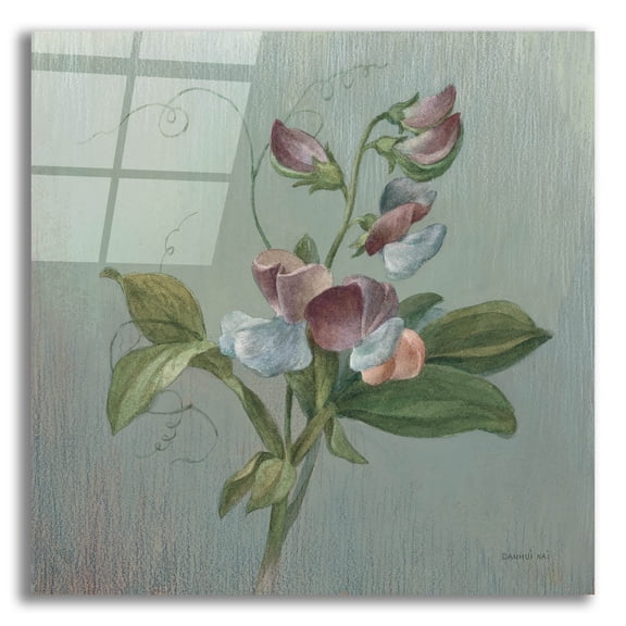 Epic Art 'Cottage Sweet Pea'  by Danhui Nai Acrylic Glass Wall Art, 12" x 12"