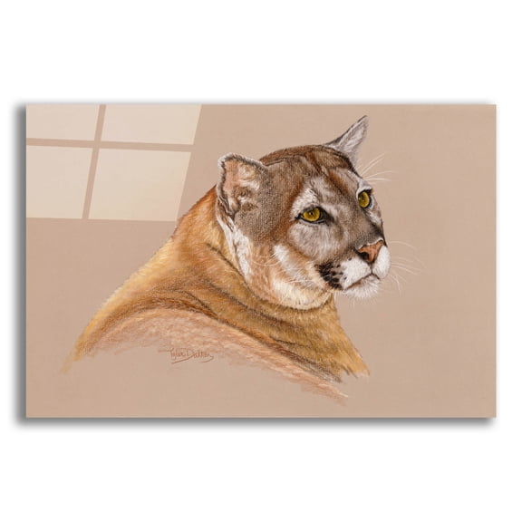 Epic Art 'Cougar' by Barbara Keith, Acrylic Glass Wall Art, 24"x16"