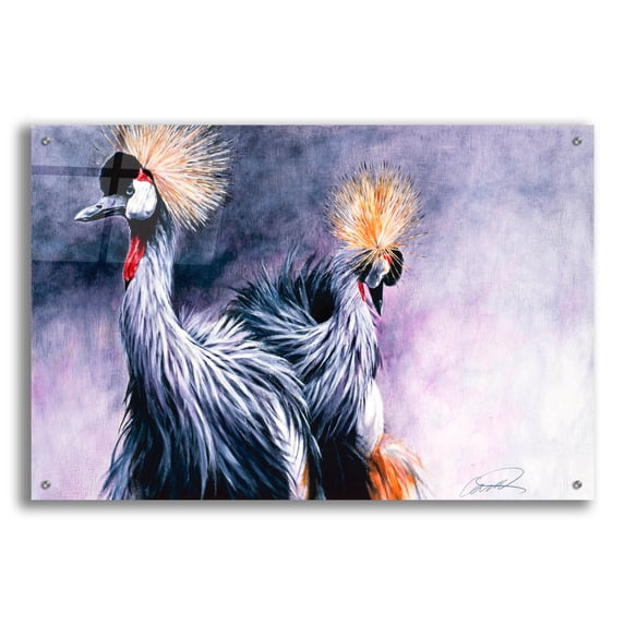 Epic Art 'Crowned Cranes' by Robert Campbell, Acrylic Glass Wall Art, 36"x24"
