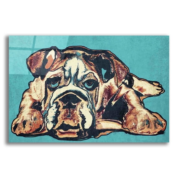 Epic Art 'Cute Bulldog' by Irena Orlov, Acrylic Glass Wall Art, 24"x16"