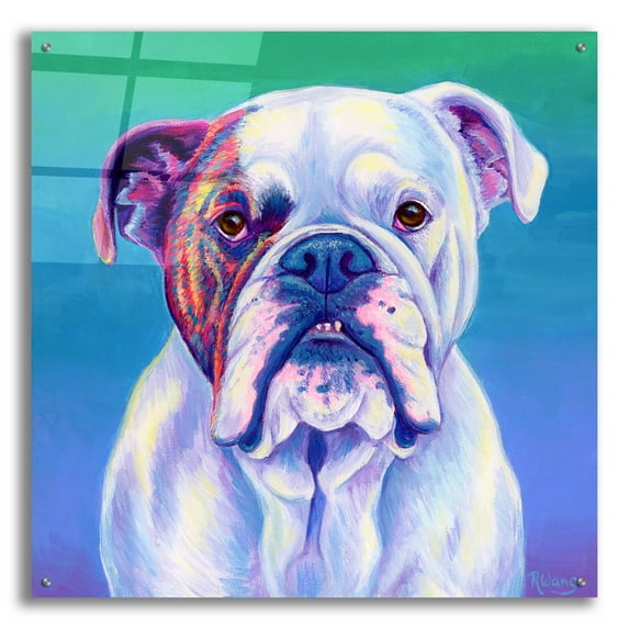 Epic Art 'Cute English Bulldog' by Rebecca Wang Art, Acrylic Glass Wall Art, 36"x36"