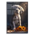 thumbnail image 1 of Epic Art 'Cute Puppy With Orange Flowers Dog Course' by Momart Acrylic Glass Wall Art, 16" x 24", 1 of 8