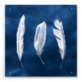 thumbnail image 1 of Epic Art 'Cyanotype Feathers II' by Grace Popp, Acrylic Glass Wall Art, 24"x24", 1 of 5
