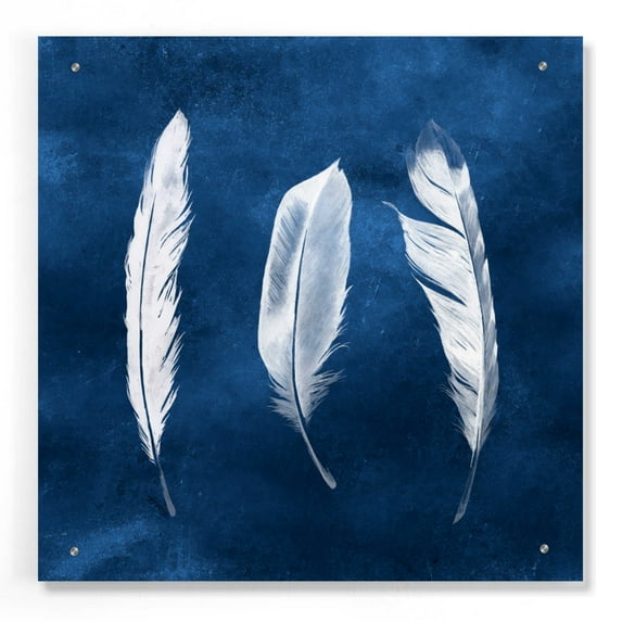Epic Art 'Cyanotype Feathers II' by Grace Popp, Acrylic Glass Wall Art, 24"x24"