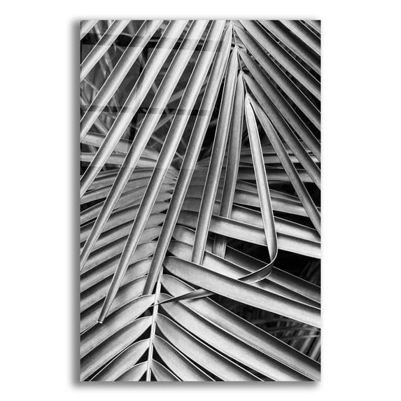 Epic Art 'Cycad, Michigan 80' by Monte Nagler, Acrylic Glass Wall Art, 12"x16"