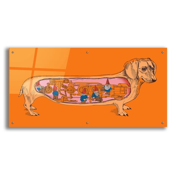 Epic Art 'Dachshund' by Rachel Caldwell, Acrylic Glass Wall Art, 48"x24"