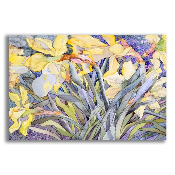 Epic Art 'Daffodils, Van Vleck' by Sharon Pitts, Acrylic Glass Wall Art, 24"x16"