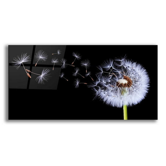 Epic Art 'Dandelion Flying,' Acrylic Glass Wall Art, 24"x12"