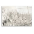 thumbnail image 1 of Epic Art 'Dandelion Jewels II' by Lori Deiter, Acrylic Glass Wall Art, 24"x16", 1 of 9