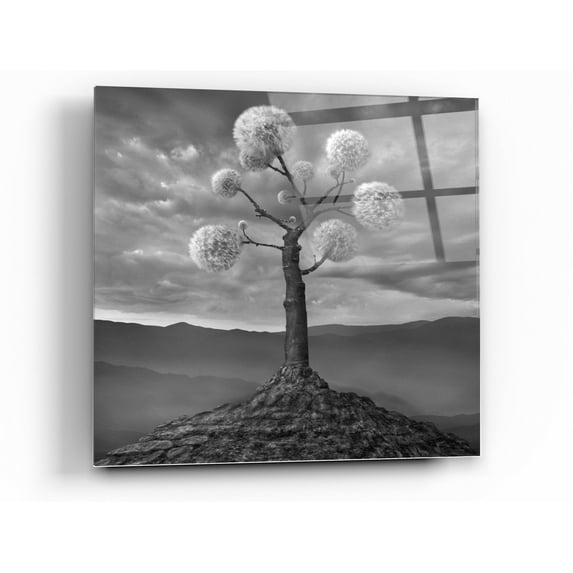 Epic Art 'Dandelion' by Dariusz Klimczak, Acrylic Glass Wall Art, 36"x36"