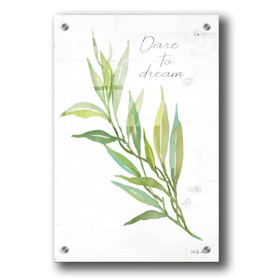 Epic Art 'Dare to Dream' by Cindy Jacobs, Acrylic Glass Wall Art, 24"x36"