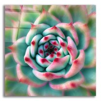 Epic Art 'Deep Red Tips' by Jan Bell Acrylic Glass Wall Art, 12"x12"