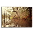 thumbnail image 1 of Epic Art ' Deep South I' by Irene Suchocki, Acrylic Glass Wall Art, 16"x12", 1 of 8