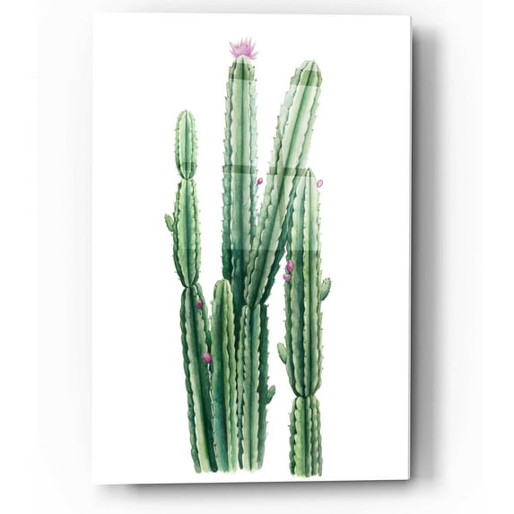 Epic Art 'Desert Blooms II' by Grace Popp, Acrylic Glass Wall Art, 12"x16"