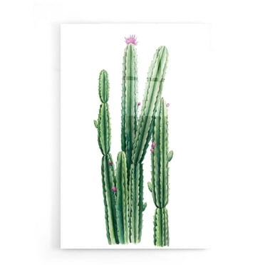 Epic Art 'Desert Blooms II' by Grace Popp, Acrylic Glass Wall Art, 16"x24"