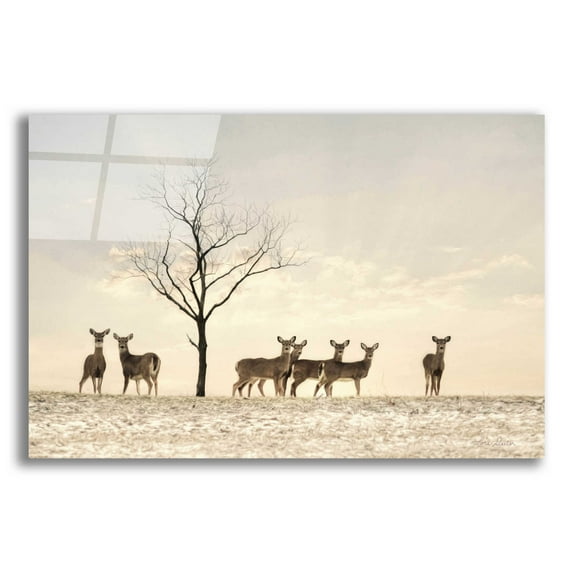 Epic Art 'Doe a Deer' by Lori Deiter Acrylic Glass Wall Art, 24"x16"
