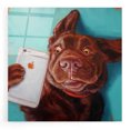 thumbnail image 1 of Epic Art 'Dog Selfie' by Lucia Heffernan, Acrylic Glass Wall Art, 12"x12", 1 of 8