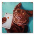 thumbnail image 1 of Epic Art 'Dog Selfie' by Lucia Heffernan, Acrylic Glass Wall Art, 36"x36", 1 of 7