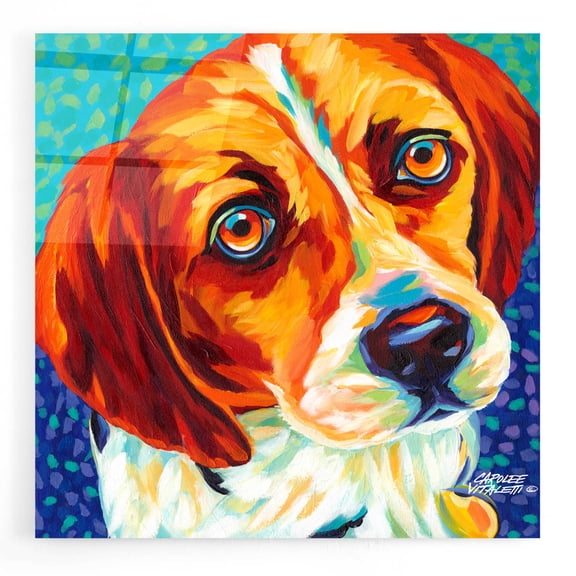 Epic Art 'Dogs in Color II' by Carolee Vitaletti, Acrylic Glass Wall Art, 12"x12"