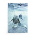 thumbnail image 1 of Epic Art 'Dolphin and Calf' by Stellar Design Studio, Acrylic Glass Wall Art, 16"x24", 1 of 3