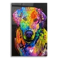 thumbnail image 1 of Epic Art 'Don't Do A Thing But Run Around' by Dean Russo, Acrylic Glass Wall Art, 12"x16", 1 of 8