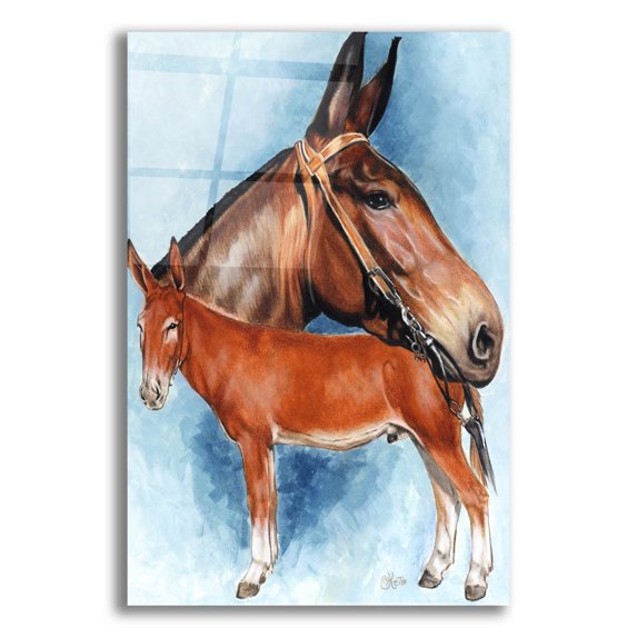 Epic Art 'Donkey' by Barbara Keith, Acrylic Glass Wall Art, 16"x24"