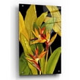 thumbnail image 1 of Epic Art 'Dramatic Bird of Paradise' by Tim O'Toole, Acrylic Glass Wall Art, 24"x36", 1 of 3