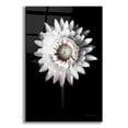 thumbnail image 1 of Epic Art 'Dramatic Dahlia' by Elise Catterall, Acrylic Glass Wall Art, 12"x16", 1 of 8