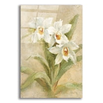 Epic Art 'Dreamy Orchids 2' by Danhui Nai Acrylic Glass Wall Art, 12" x 16"