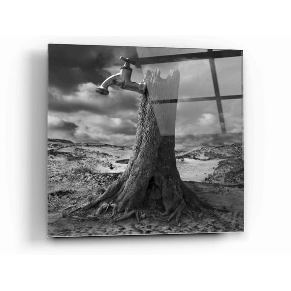 Epic Art 'Dry' by Dariusz Klimczak, Acrylic Glass Wall Art, 12"x12"