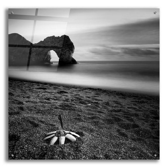 Epic Art 'Durdle Feather' by Nina Papiorek, Acrylic Glass Wall Art, 36"x36"