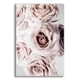 thumbnail image 1 of Epic Art 'Dusty Rose Cluster' by Elise Catterall, Acrylic Glass Wall Art, 12"x16", 1 of 8