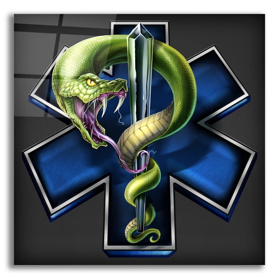 Epic Art 'EMS Star of Life With Snake' by Flyland Designs, Acrylic Glass Wall Art, 12"x12"