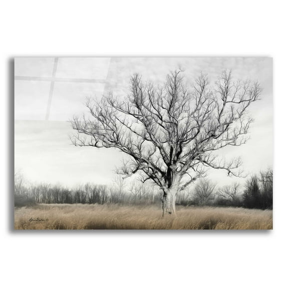 Epic Art 'Earth & Sky' by Lori Deiter Acrylic Glass Wall Art, 24"x16"