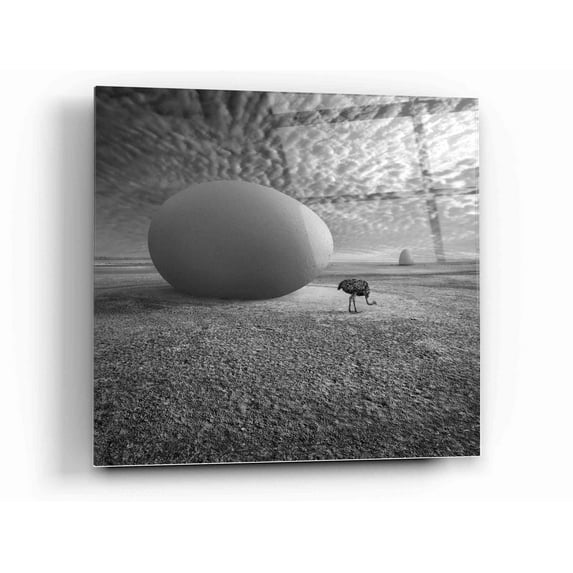 Epic Art 'EggO' by Dariusz Klimczak, Acrylic Glass Wall Art, 12"x12"