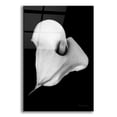 thumbnail image 1 of Epic Art 'Elegant Calla III' by Elise Catterall, Acrylic Glass Wall Art, 16"x24", 1 of 8