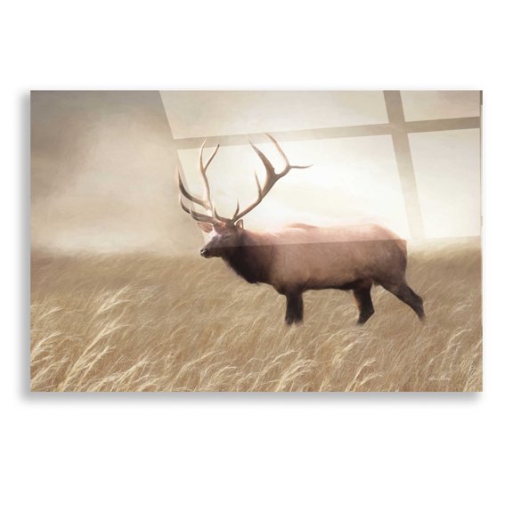 Epic Art 'Elk in the Field' by Lori Deiter, Acrylic Glass Wall Art, 16"x12"