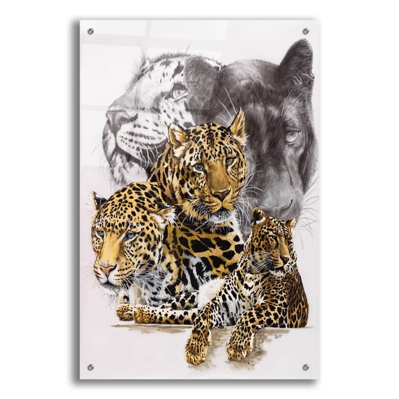 Epic Art 'Elusive' by Barbara Keith, Acrylic Glass Wall Art, 24"x36"