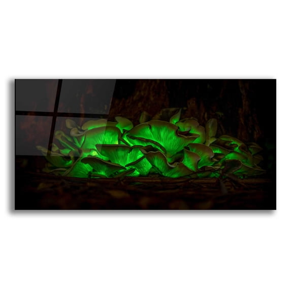Epic Art 'Emerald Boom' by Petar Belobrajdic Acrylic Glass Wall Art, 24"x12"