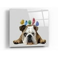 thumbnail image 1 of Epic Art 'English Bulldog and Birds' by Fab Funky Acrylic Glass Wall Art, 36"x36", 1 of 3