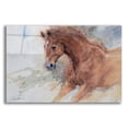thumbnail image 1 of Epic Art 'Equine Exercise' by Robert Campbell, Acrylic Glass Wall Art, 16"x12", 1 of 8