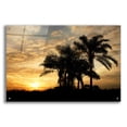 thumbnail image 1 of Epic Art 'Everglades Sunrise' by Mike Jones, Acrylic Glass Wall Art, 36"x24", 1 of 8